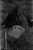 HC_ARCH2_1987_87081000.jpg