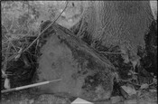 HC_ARCH2_1987_87081006.jpg