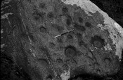 HC_ARCH4_87076_003.jpg