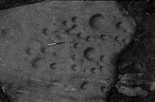 HC_ARCH4_87076_006.jpg