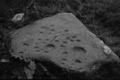 HC_ARCH4_87076_010.jpg