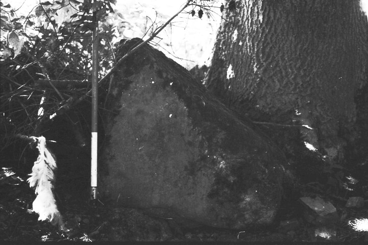 HC_ARCH4_87076_026.jpg