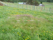 MHG2788_01.jpg