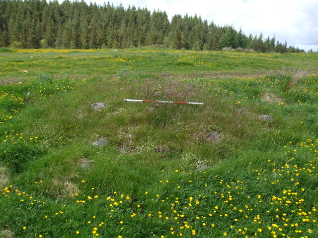 MHG2788_02.jpg