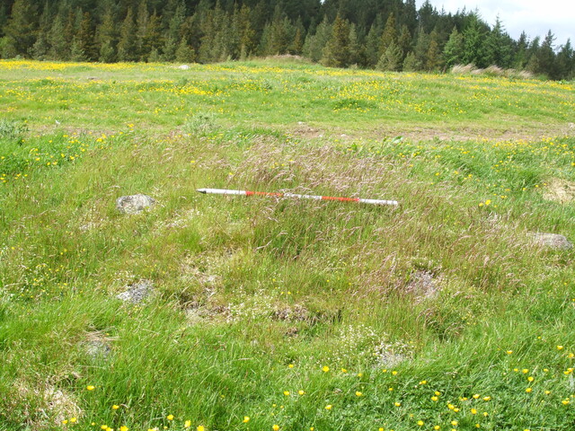 MHG2788_03.jpg