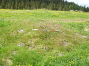 MHG2788_03.jpg
