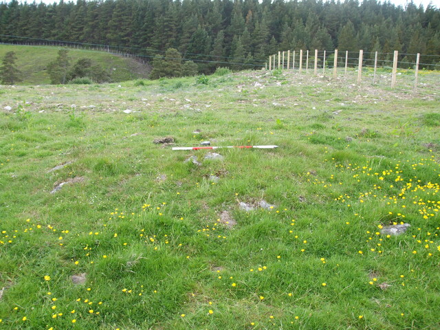 MHG2788_04.jpg
