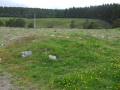 MHG2788_05.jpg