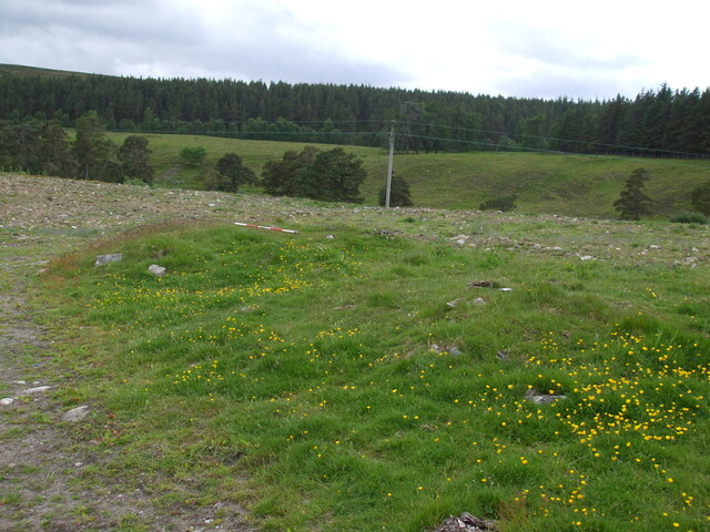 MHG2788_06.jpg