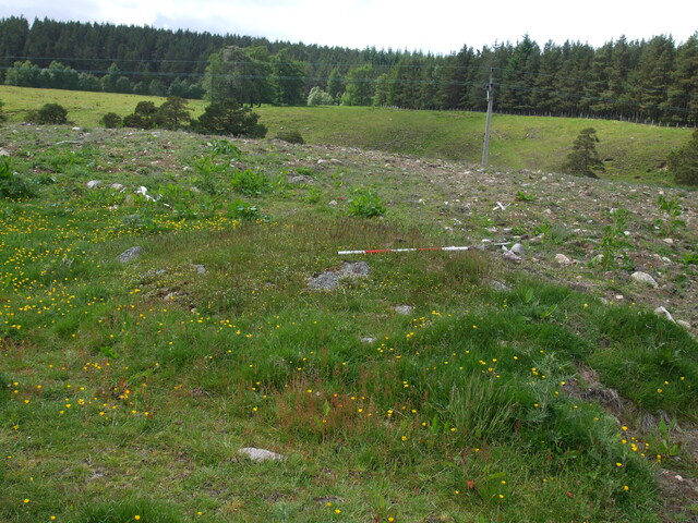 MHG2788_07.jpg