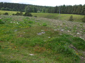 MHG2788_07.jpg