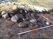 MHG2788_11.jpg