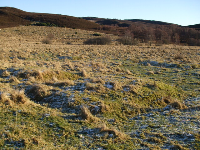 MHG3361_barrowsDec07_2.jpg
