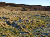 MHG3361_barrowsDec07_2.jpg