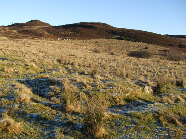 MHG3361_barrowsDec07_3.jpg