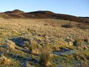 MHG3361_barrowsDec07_3.jpg
