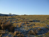 MHG3361_barrowsDec07_4.jpg