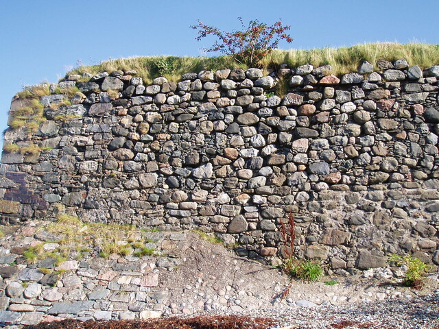 P1010087.JPG