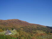 MHG4298_2.JPG