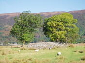 MHG4308_Sept07_1.JPG