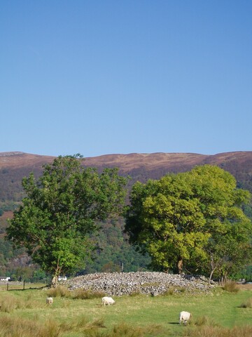 MHG4308_Sept07_2.JPG