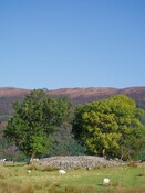 MHG4308_Sept07_2.JPG
