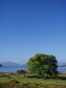 MHG4308_Sept07_4.JPG