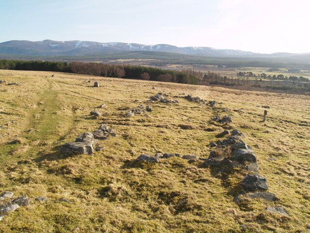 MHG4411_02.JPG