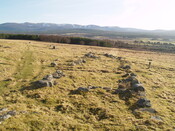 MHG4411_02.JPG