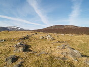 MHG4411_04.JPG