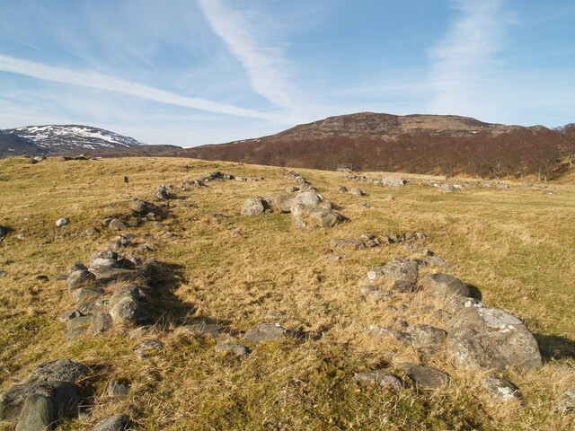 MHG4411_05.JPG