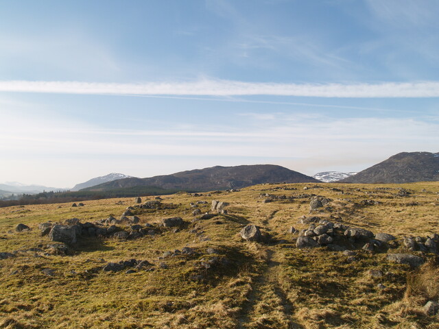 MHG4411_07.JPG