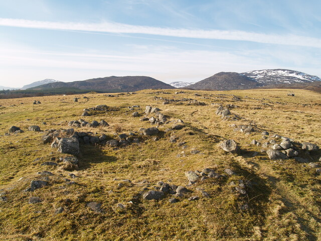 MHG4411_08.JPG