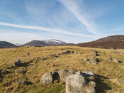 MHG4411_09.JPG