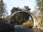 MHG4627_03.JPG