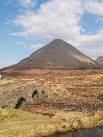 MHG5830_2008_1.JPG