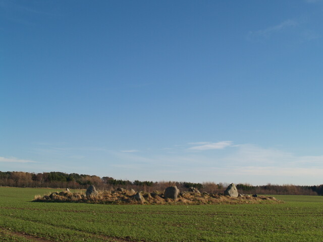 MHG6878_02.JPG