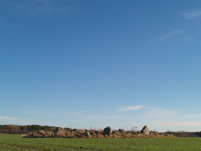 MHG6878_03.JPG