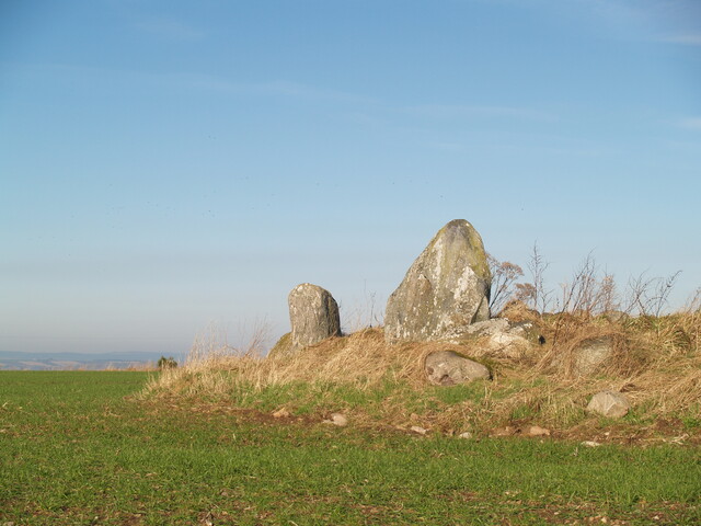 MHG6878_04.JPG