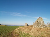 MHG6878_05.JPG