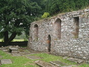 MHG7043_2009_5.JPG