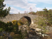 MHG7107_01.JPG
