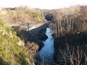 MHG7323_01.JPG