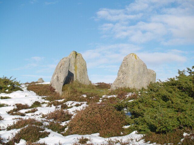 MHG8919_01.JPG