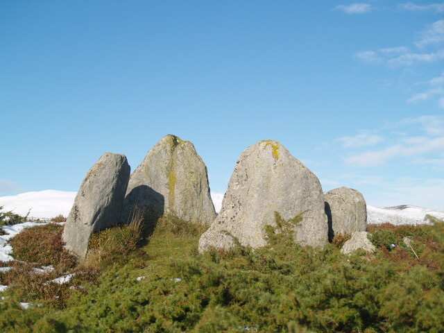 MHG8919_03.JPG