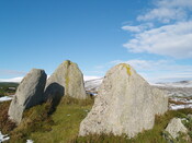 MHG8919_06.JPG