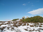 MHG8919_09.JPG