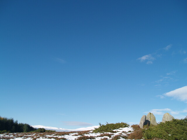MHG8919_10.JPG