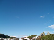 MHG8919_10.JPG