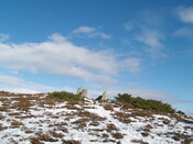 MHG8919_11.JPG